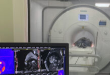 SUCCES URIAȘ AL CARDIOLOGILOR TÂRGUMUREȘENI